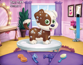 Screnshot of Career Town pet grooming shop